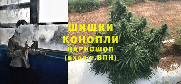 apvp Лиски