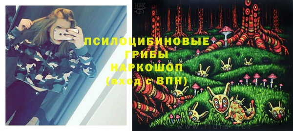 apvp Лиски