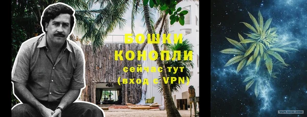 apvp Лиски