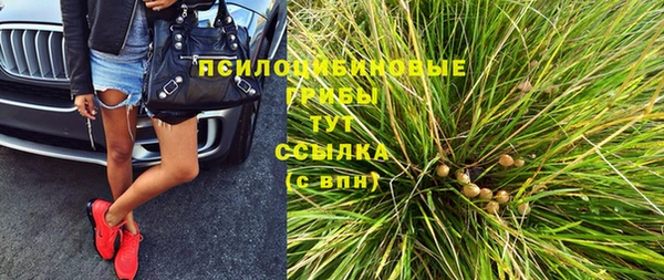 ГАЛЛЮЦИНОГЕННЫЕ ГРИБЫ Бердск