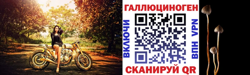 купить наркотики цена Люберцы Галлюциногенные грибы Cubensis