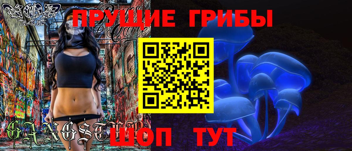 Галлюциногенные грибы Psilocybine cubensis Люберцы